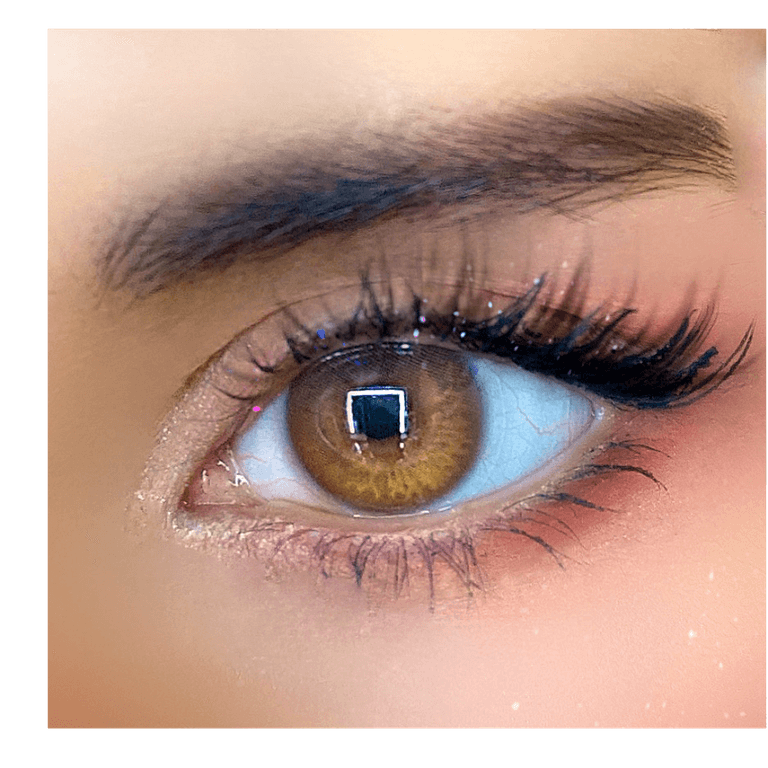 Best review image for Nils 1Day Brown (10p), rated 5 stars