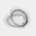 Quick menu: Toric Lens. Navigate to DM250625100000017.