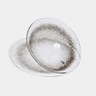 Quick menu: Toric Lens. Navigate to DM250625100000017.