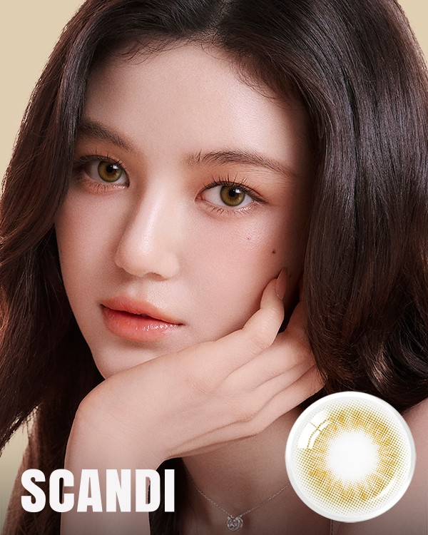 Scandi 1Day Olive (10p) 2+1 - 1Day, 10lenses/box - image 1