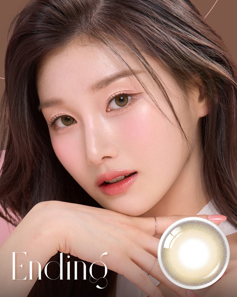 Ending Brown (10p) - 1Day, 10lenses/box - image 1