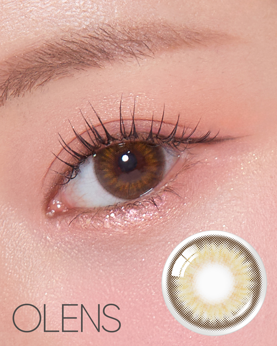 Spanish Circle Brown (20p) | OLENS