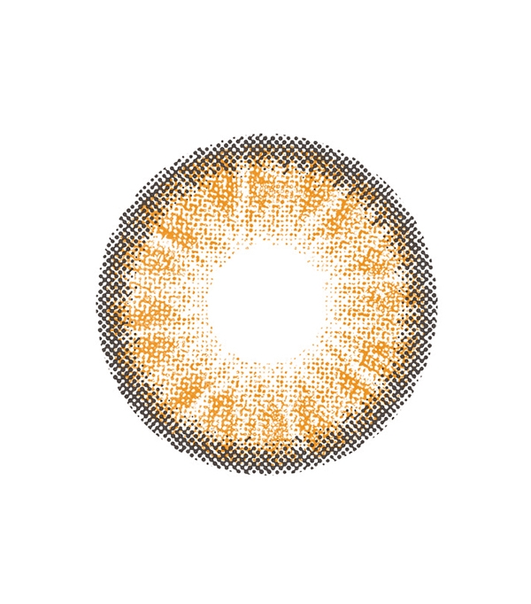 00000232