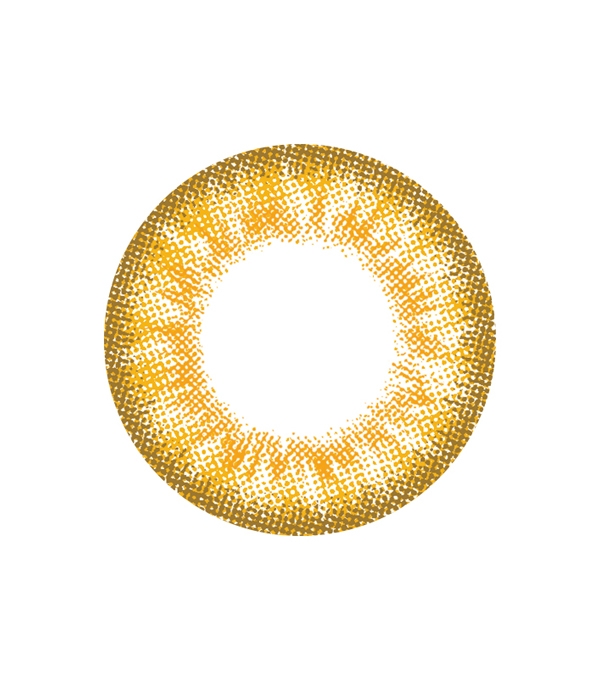 00000244