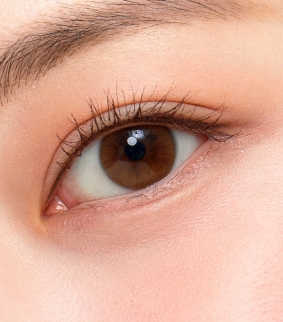 Shining Pure Brown