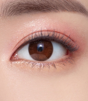 Anna Sui Modern Brown