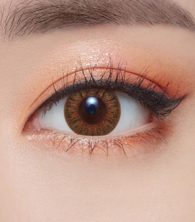 Anna Sui 3Con Brown