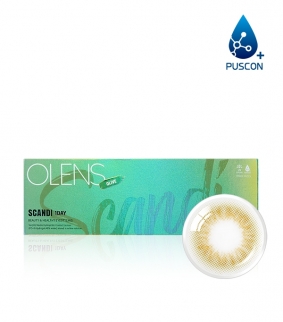 Scandi 1Day Olive (10p)