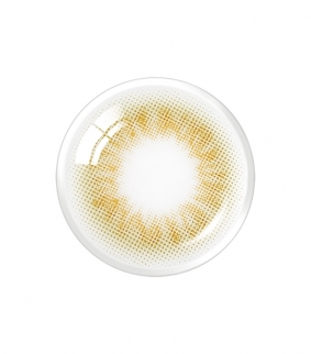 Scandi 1Day Olive (10p)