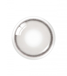 Real Ring 1Day Gray (10p)