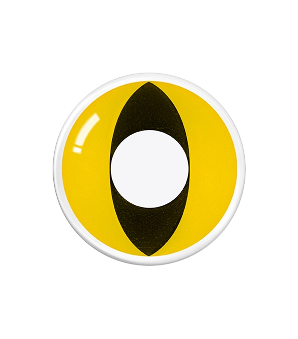 00004303