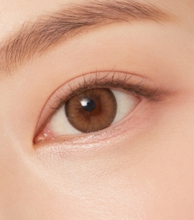 Nils 1Day Brown (10p)