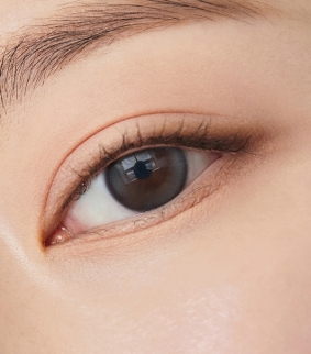 Double Tint 1Day Gray (10p)