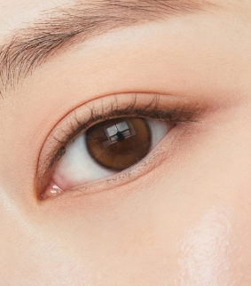 Double Tint Brown