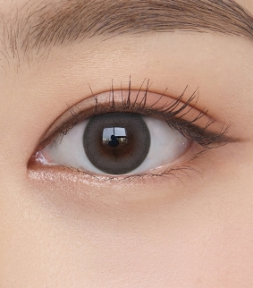 Misty Ash Gray (10p)