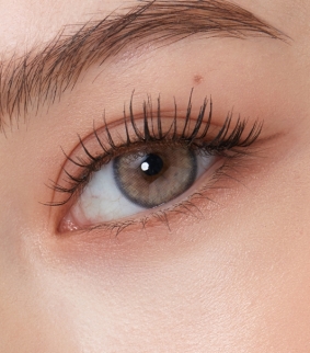 Nella 1Day Ash Beige (10p)