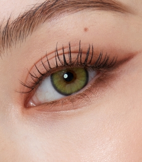 Nella 1Day Ash Olive(10p)