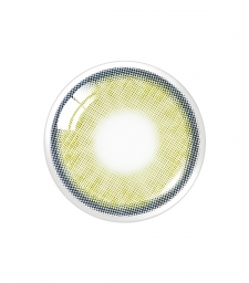 Nella 1Day Ash Olive(10p)