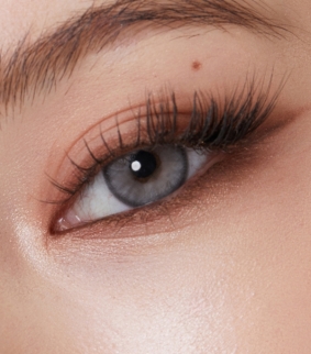 Nella 1Day Ash Gray(10p)