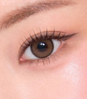 Realish 1Day Brown (10p)