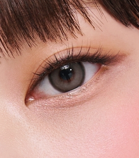 Realish 1Day Gray (10p)