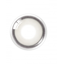 Realish 1Day Gray (10p)