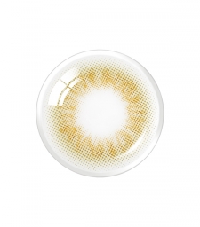 Scandi 1Day Olive (4p)