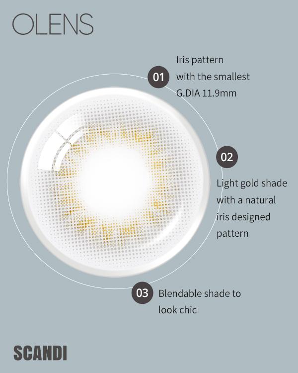 Scandi Light Gray - 1Month, 2lenses/box - image 6