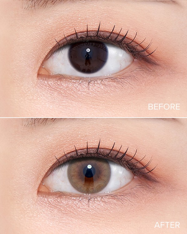 French Shine Hazel (10p) - 1Day, 10lenses/box - image 5