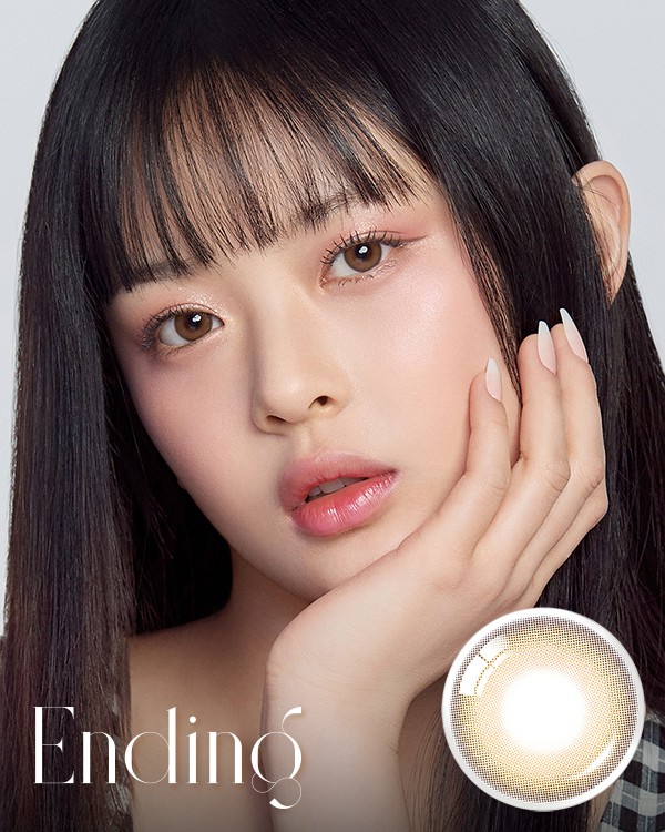 Ending Brown (10p) - 1Day, 10lenses/box - image 1