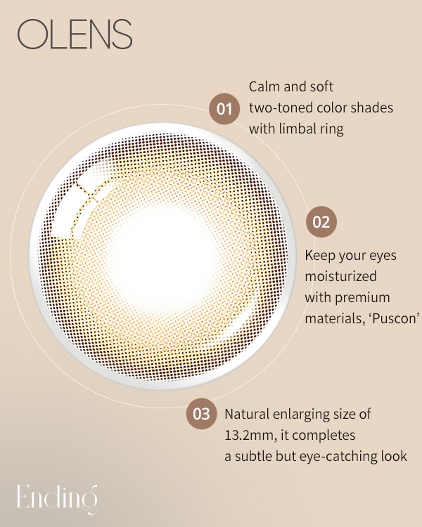 Ending Brown (10p) - 1Day, 10lenses/box - image 6