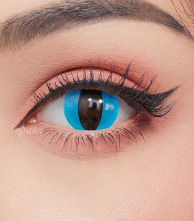 Aqua Cat Halloween Contact Lenses