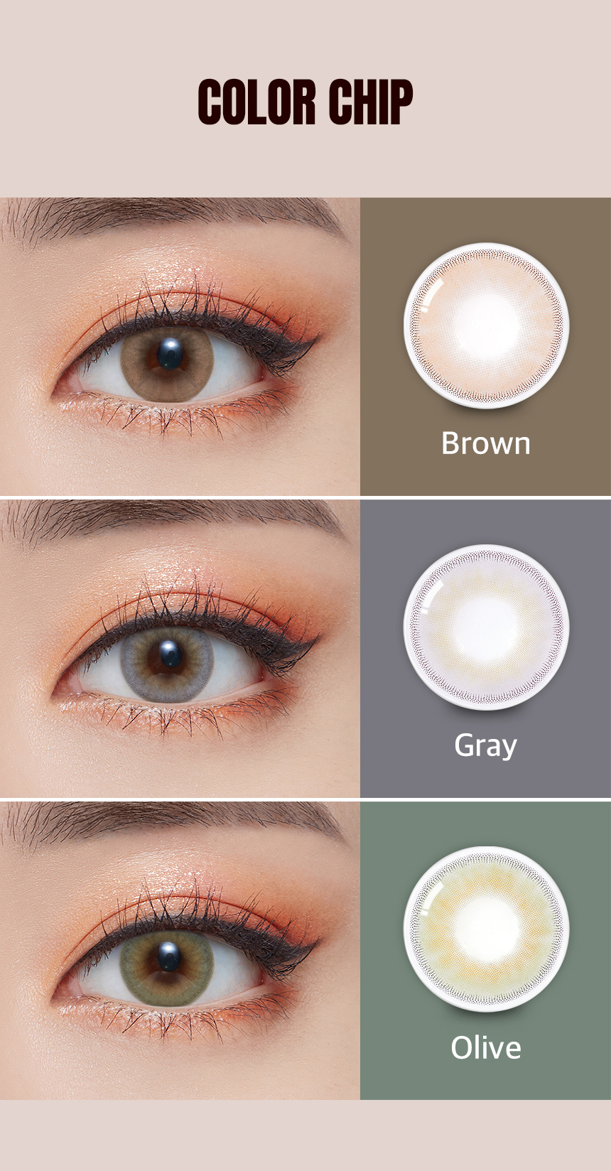 https://images.olensglobal.comcolor-chip